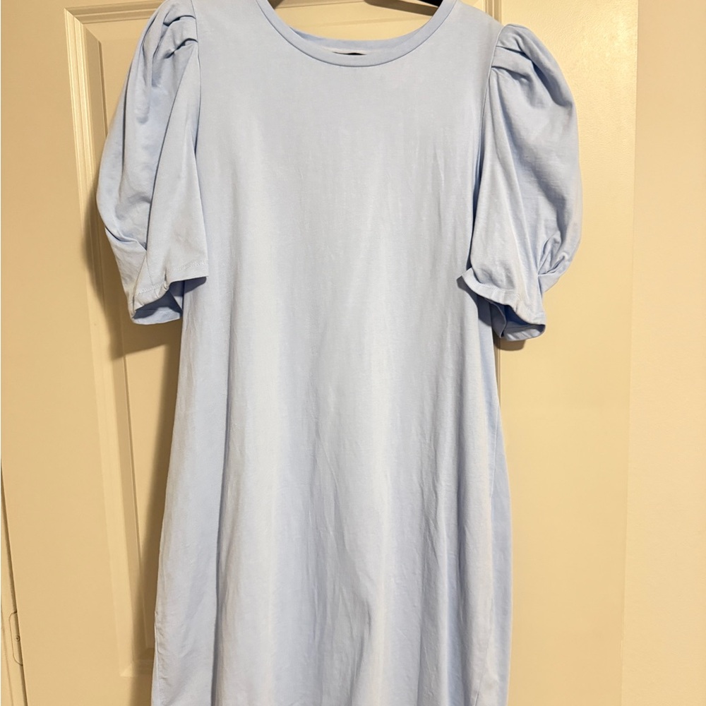 Tuckernuck Light Blue Puff Sleeve Dress Size XXL